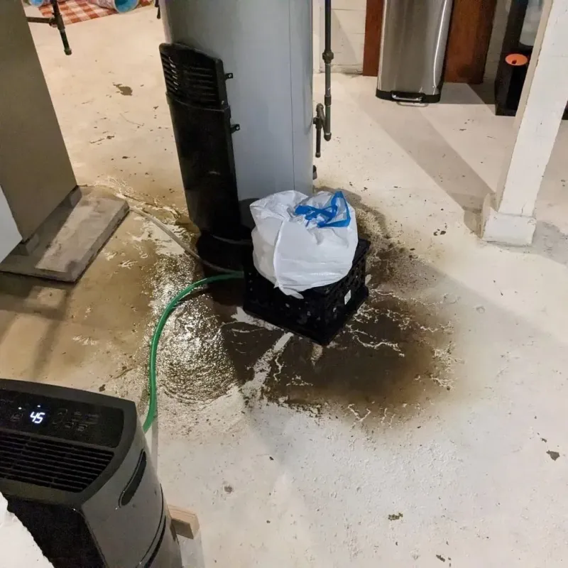Sewage Backup Cleanup Service in Clarendon, AR